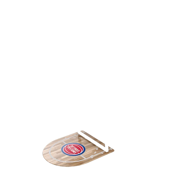 Detroit Pistons--42558400430232