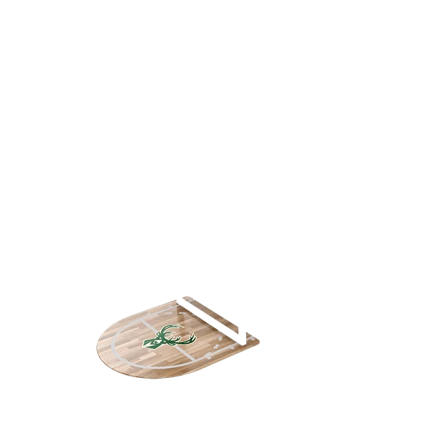 Milwaukee Bucks--42558400692376