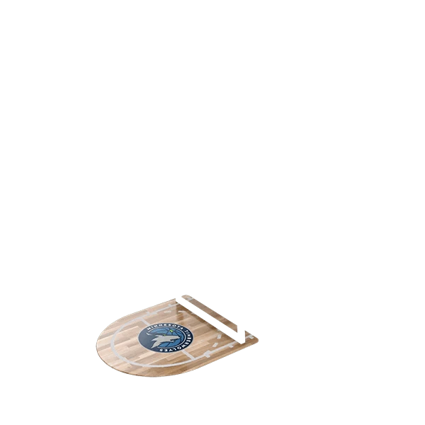 Minnesota Timberwolves--42558400725144
