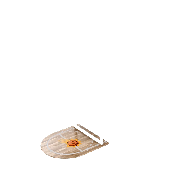 Phoenix Suns--42558400921752