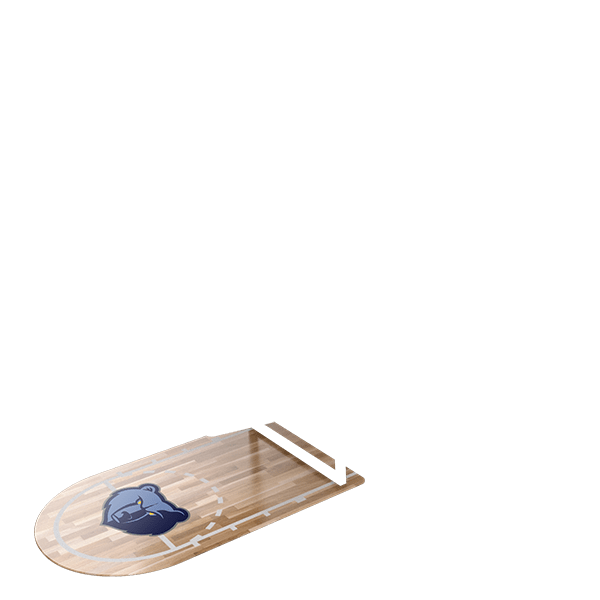 Memphis Grizzlies--40350206230680