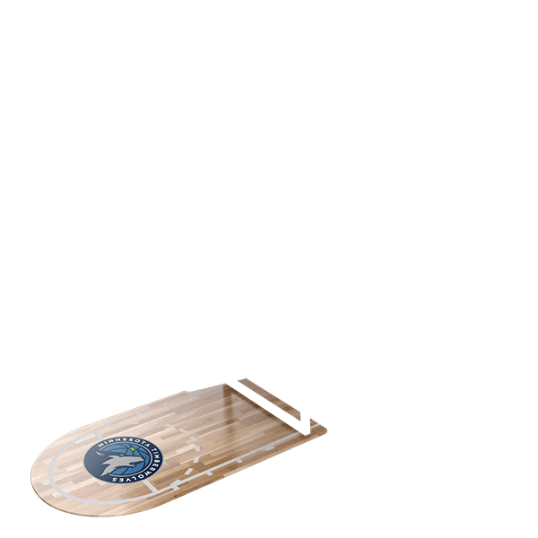 Minnesota Timberwolves--40350206361752