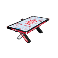 100 Year Anniversary Detroit Red Wings NHL Air FX Pro