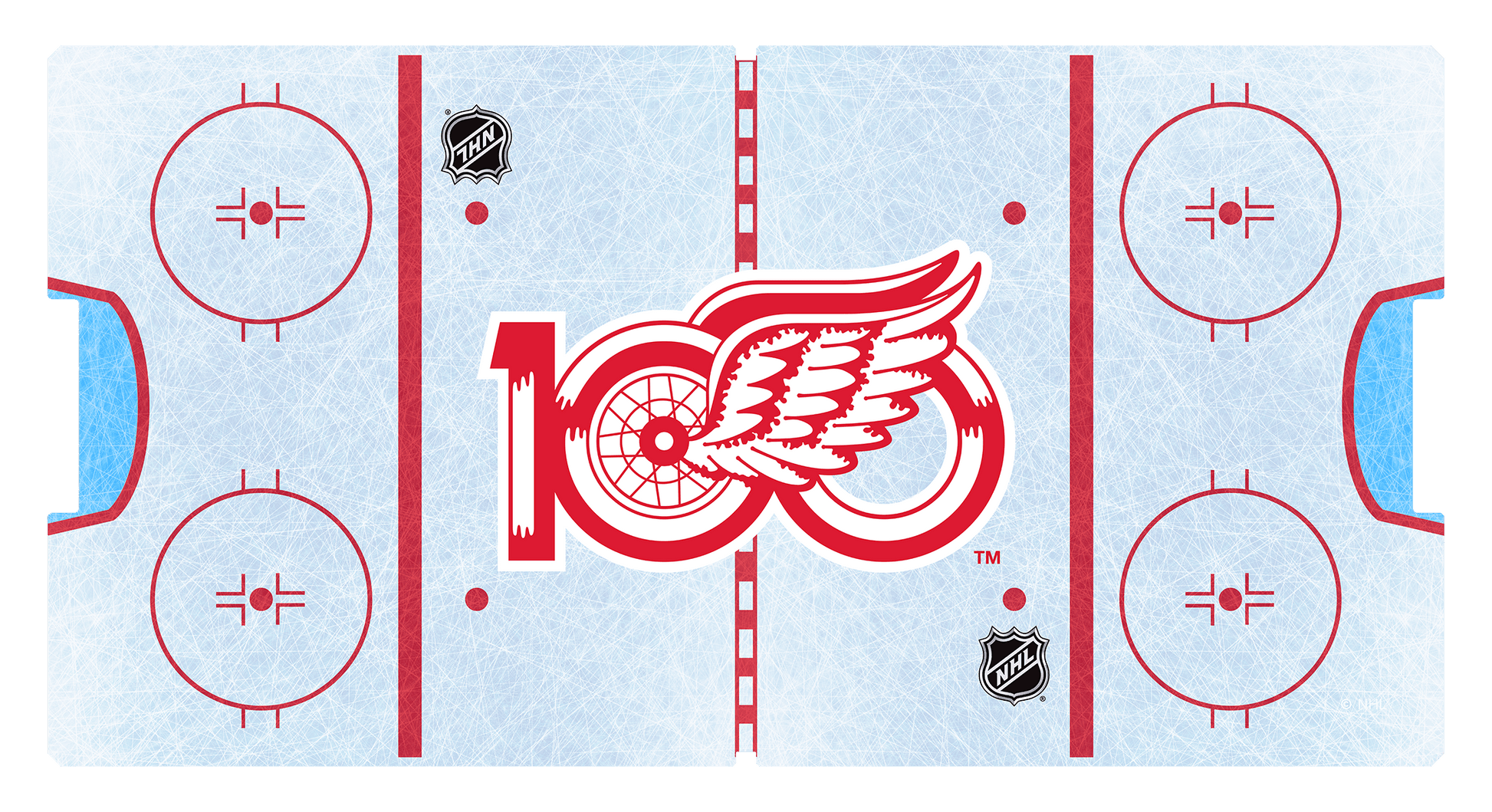 100 Year Anniversary Detroit Red Wings NHL Air FX Pro Air FX Pro