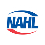 Nashville Predators Edition NHL licensed Air FX Air Hockey Full Size – Home  Arcade Games