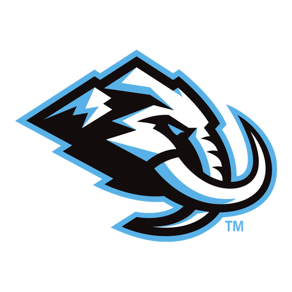 NHL Team Selection Home Arcade Games Utah Mammoth