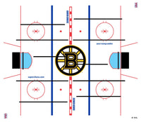 Boston Bruins Logo ICE