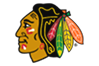 NHL team logo